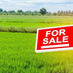 real estate agents and properties for sale and for rent near me