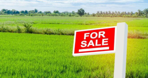 real estate agents and properties for sale and for rent near me